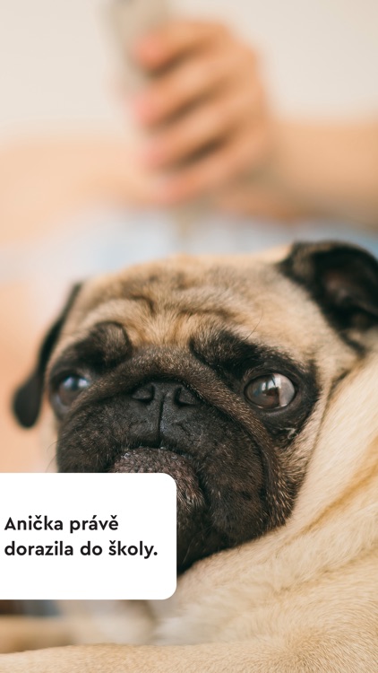 Logiscare go! screenshot-7