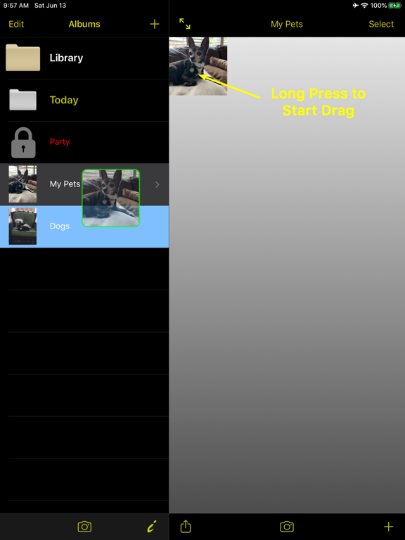 Yell Cam iPad screenshot 5 - Photo & Video app