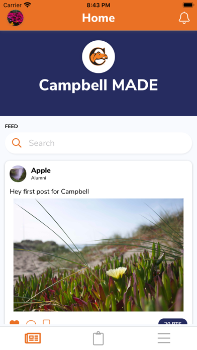 Campbell MADE screenshot 2