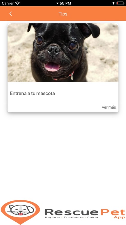 Rescue Pet App screenshot-8