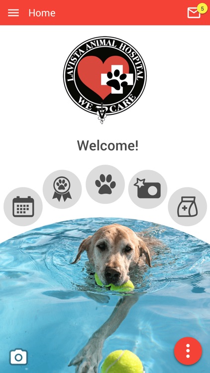 Lavista Animal Hospital