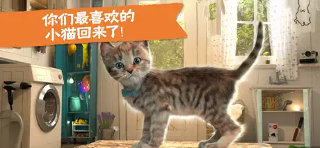 Little Kitten  小猫—猫猫冒险游戏