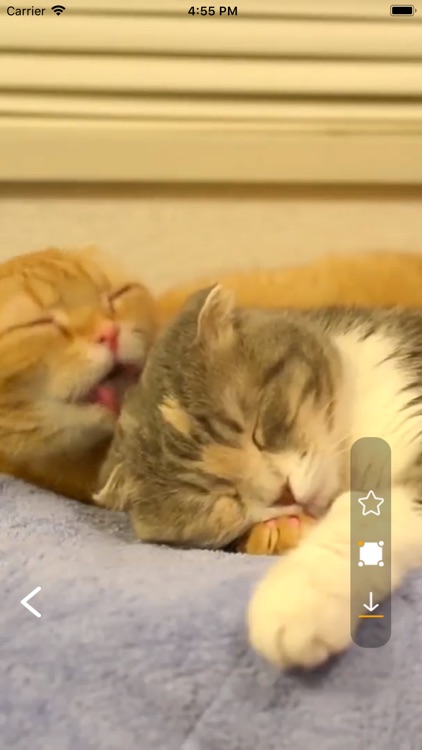 嗨皮来电秀 screenshot-3