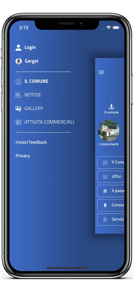 The Vintage Club App