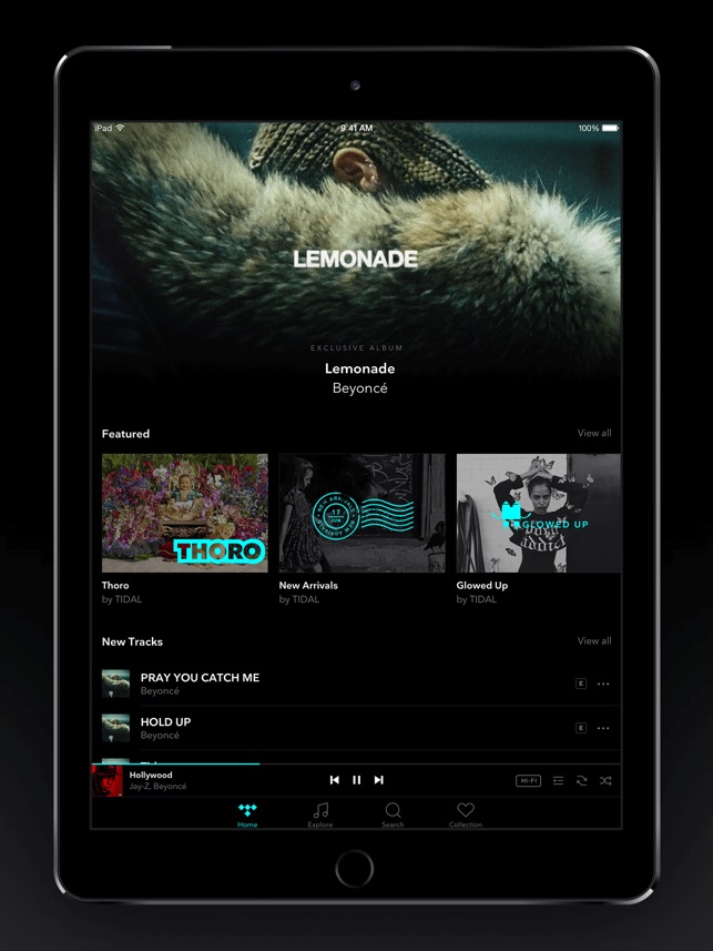 tidal hifi pris