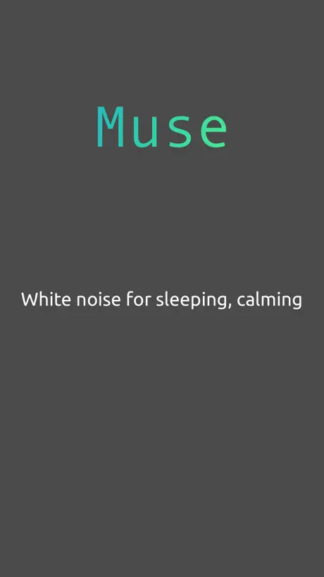 Muse - White Noise