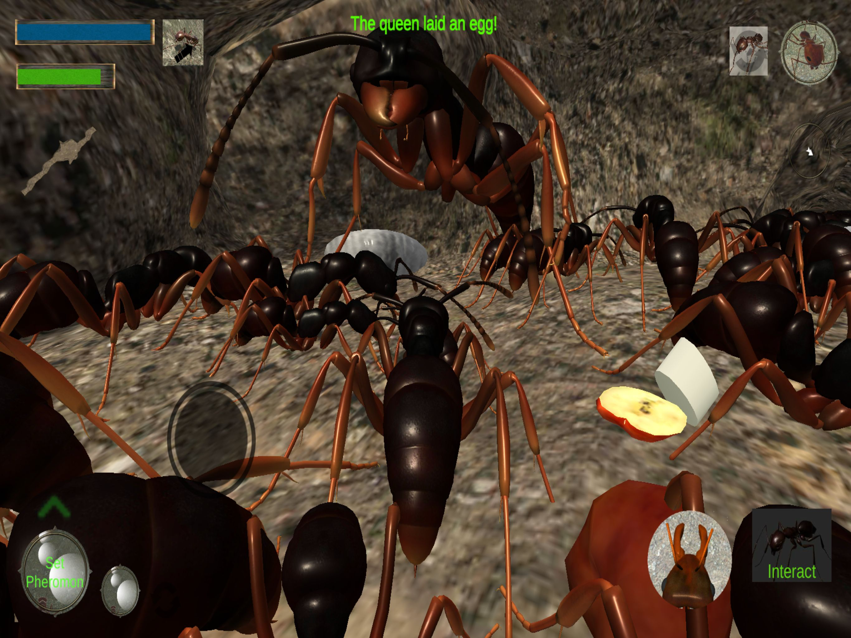 Ant Simulation 3D screenshot 11