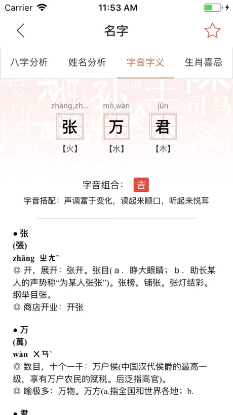 周易宝宝起名取名软件大全-群策起名