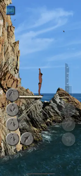 Game screenshot Cliff Diving Champ apk