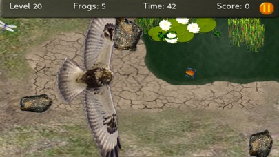 Baby Frogs - Frog Wrangling Screenshot