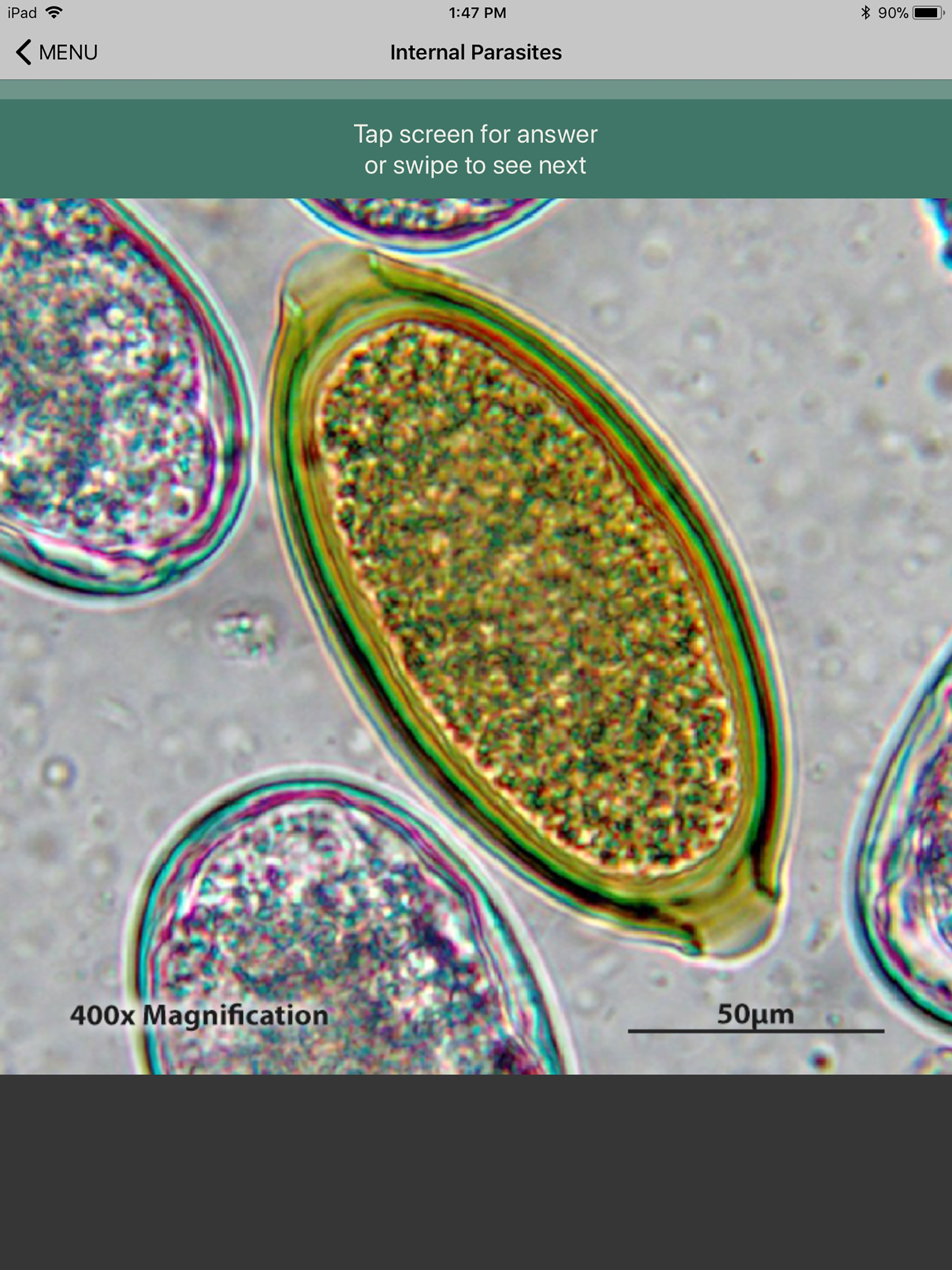 CAPC Internal Parasites ID