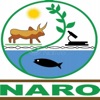 NARO Seed Information