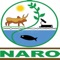 NARO - National Agricultural Research Organisation is the apex body for guidance and coordination of all agricultural research activities in the national agricultural research system in Uganda