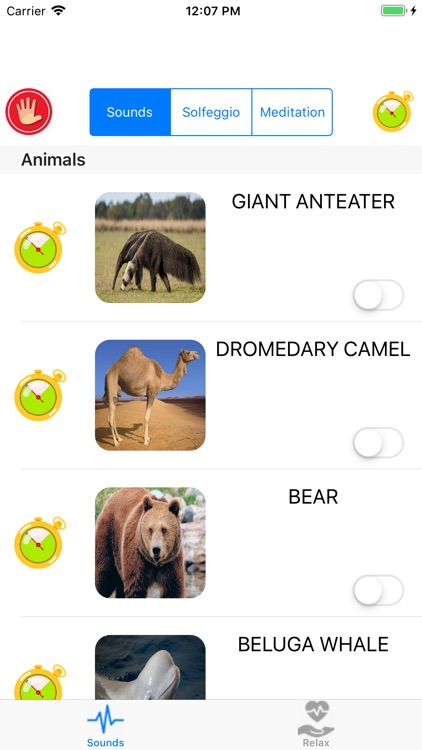 White Noise Generator