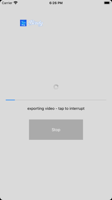 Birdy - Maps Video Recorder screenshot