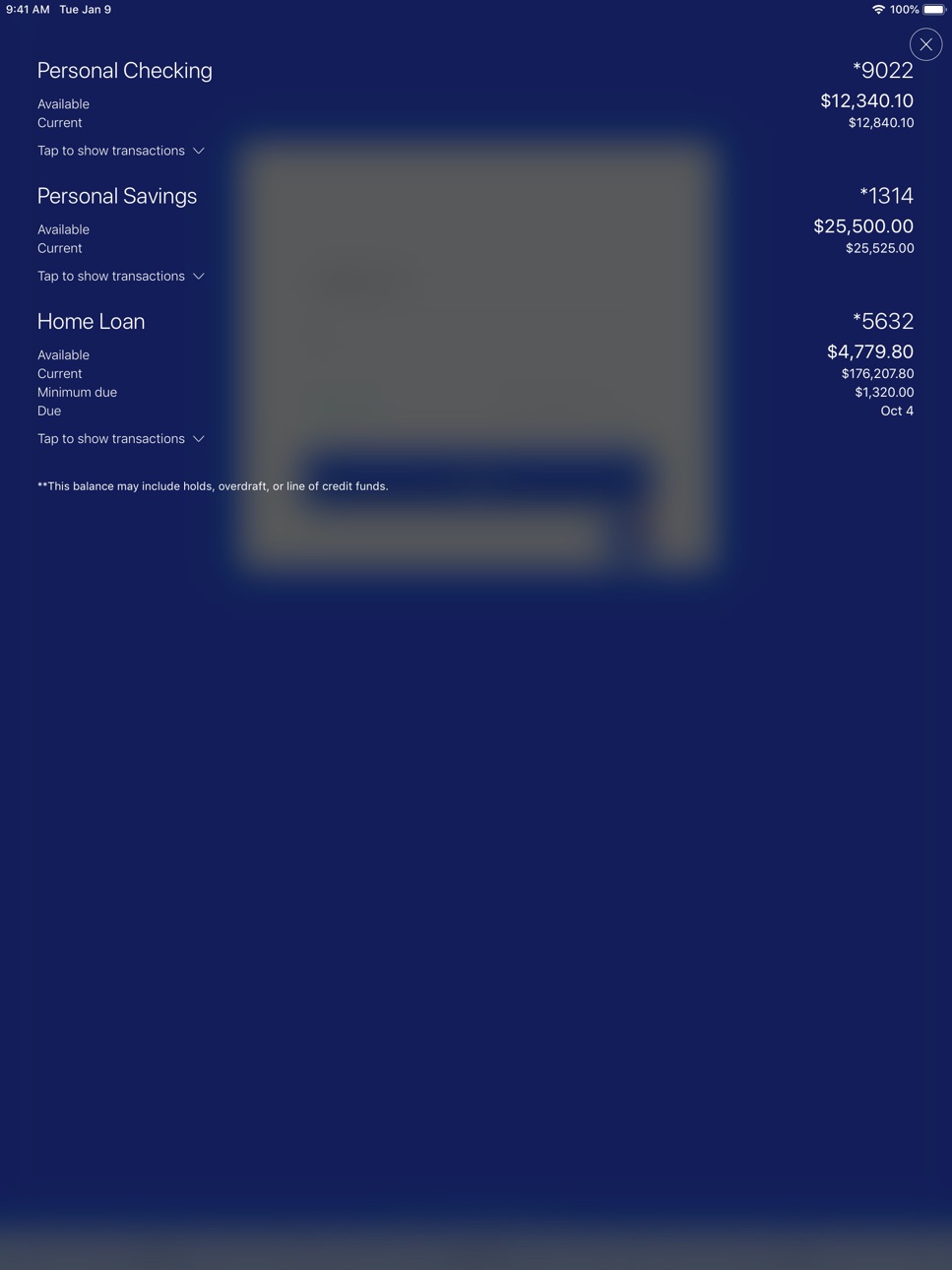 iPad screenshot