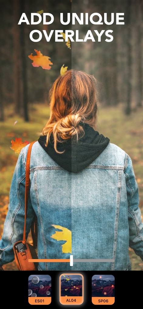 Motionleap: 3D Photo Animator - Creative Overlay Additions