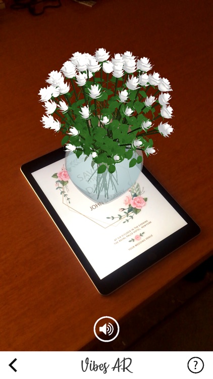 Vibes AR