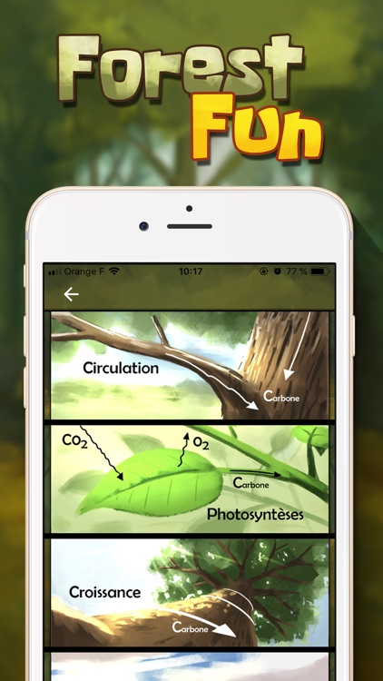 Forest Fun screenshot-4