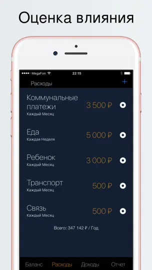 Скриншот Денежный поток на iPhone 2
