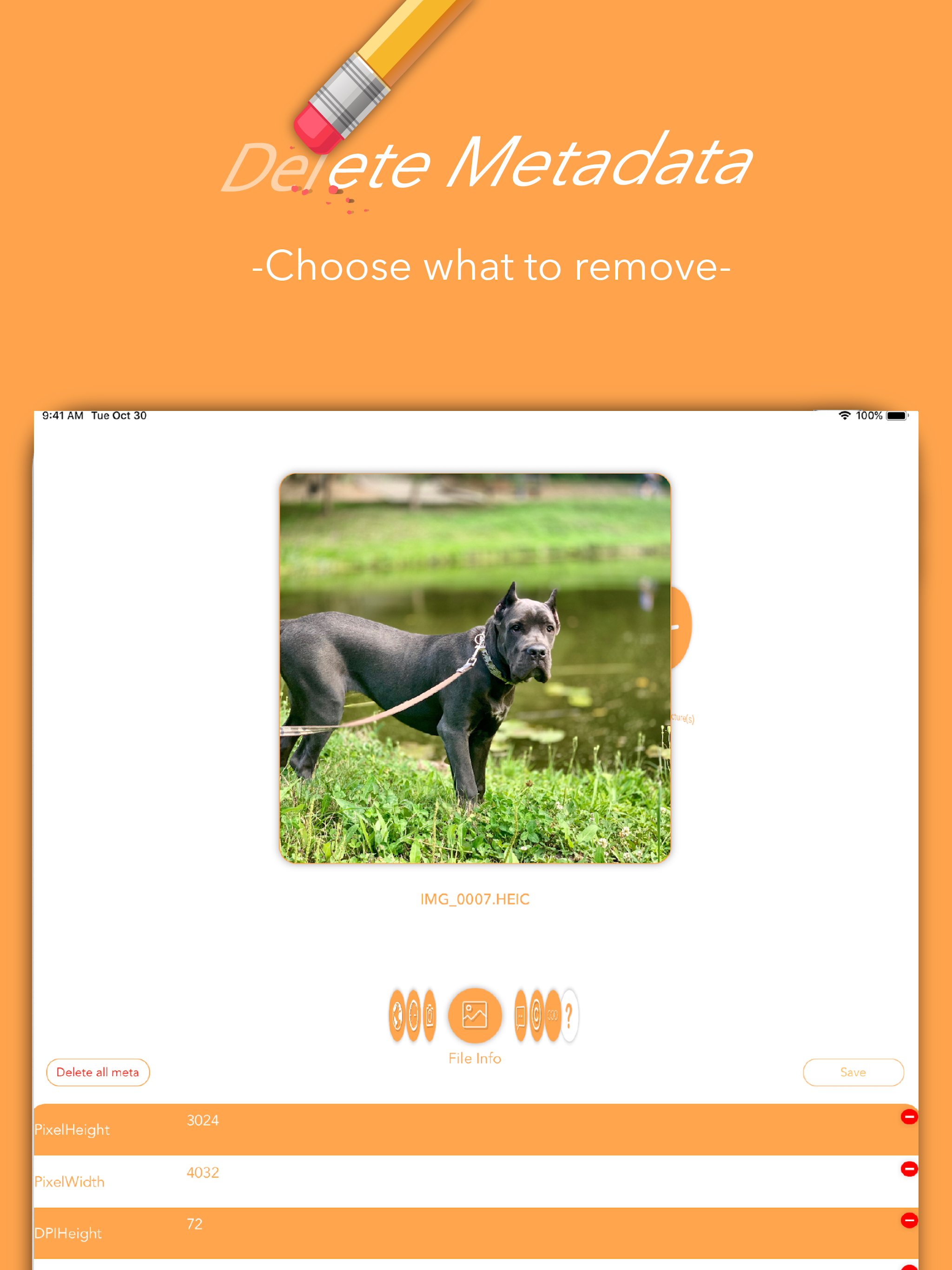 Metasniffer - Metadata Remover