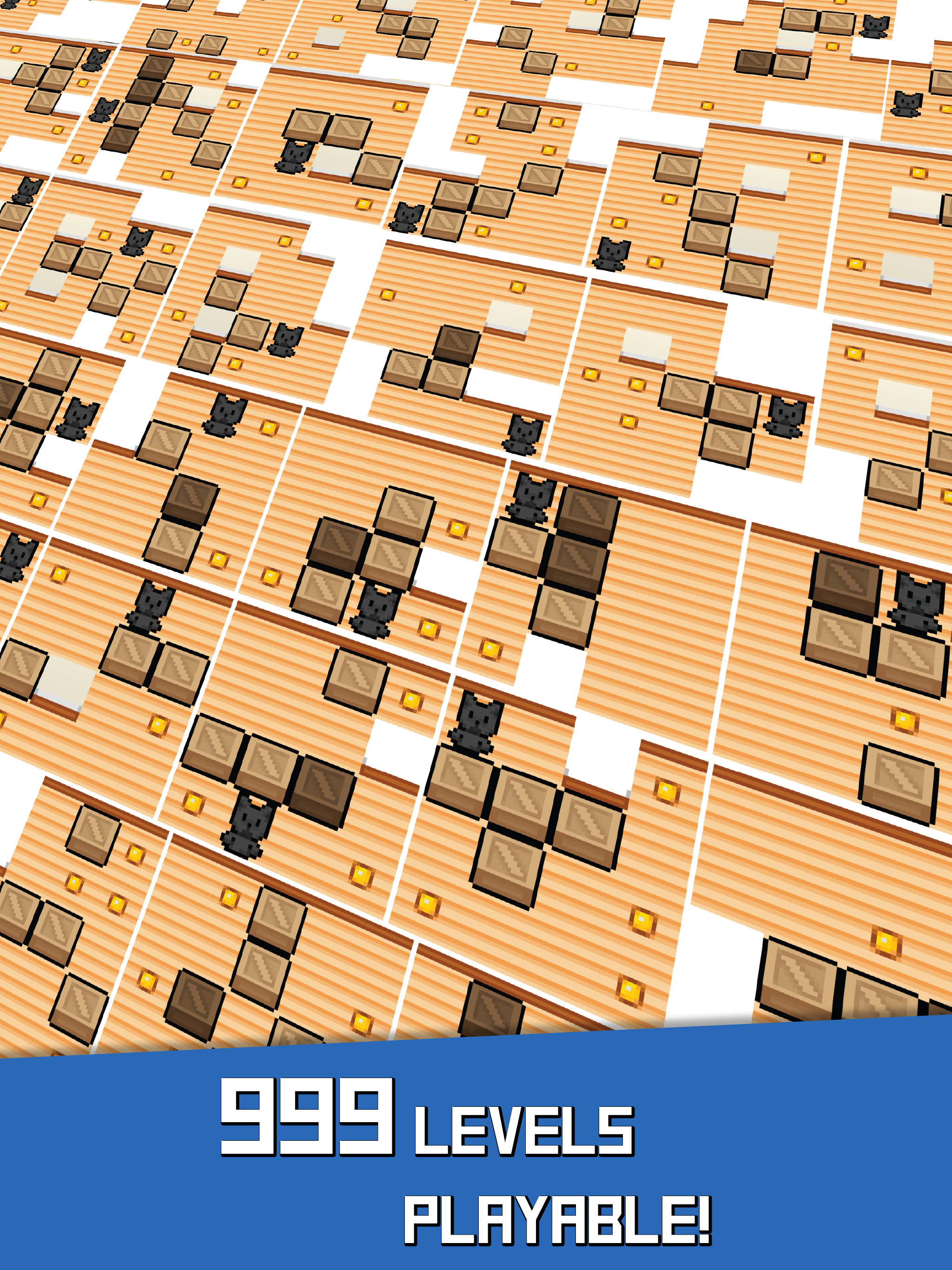 Cat's push box 999