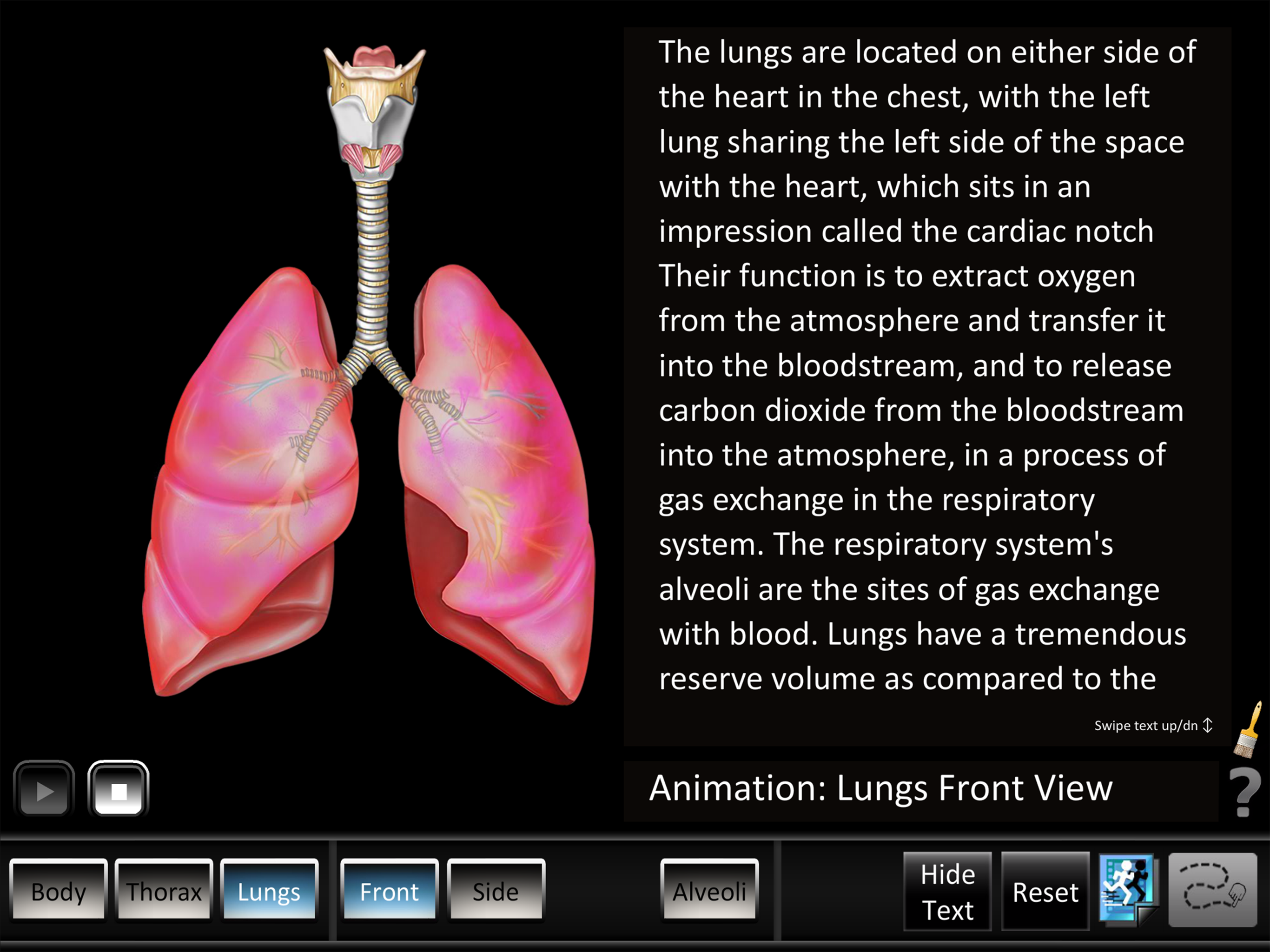 Respiration ID screenshot 9