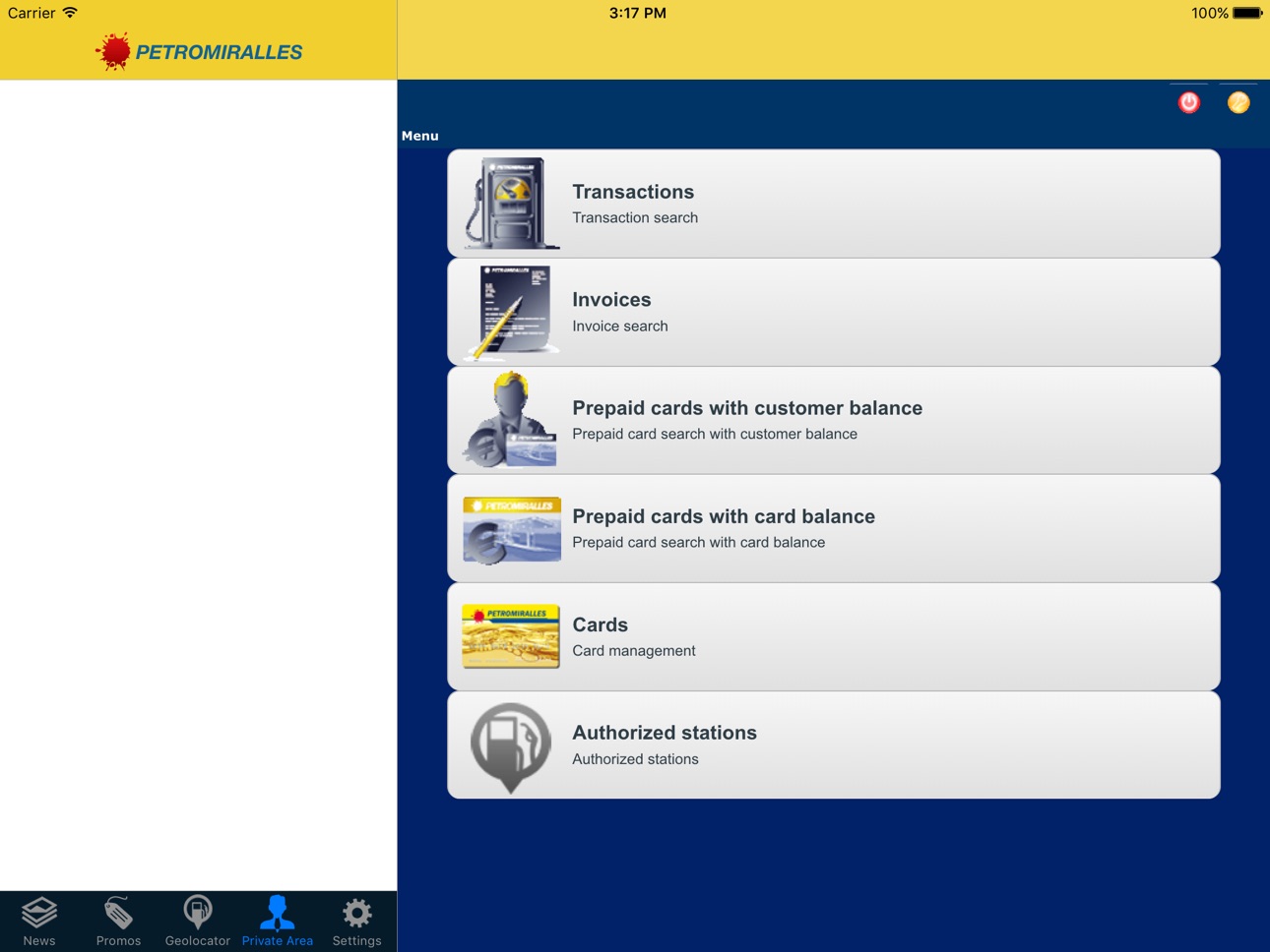 iPad screenshot