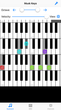 Musk MIDI Keyboard screenshot 1