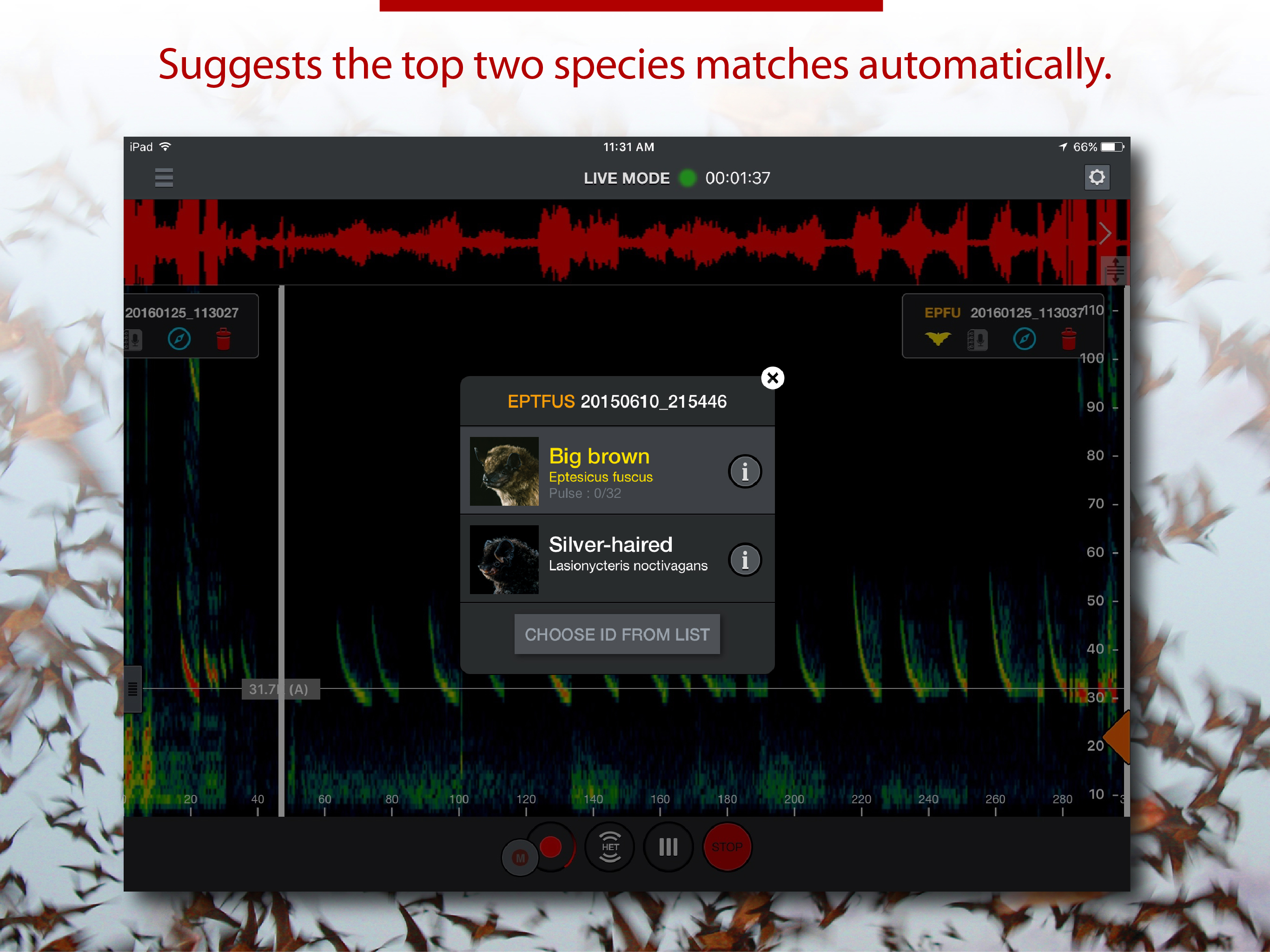 Echo Meter Touch Bat Detector