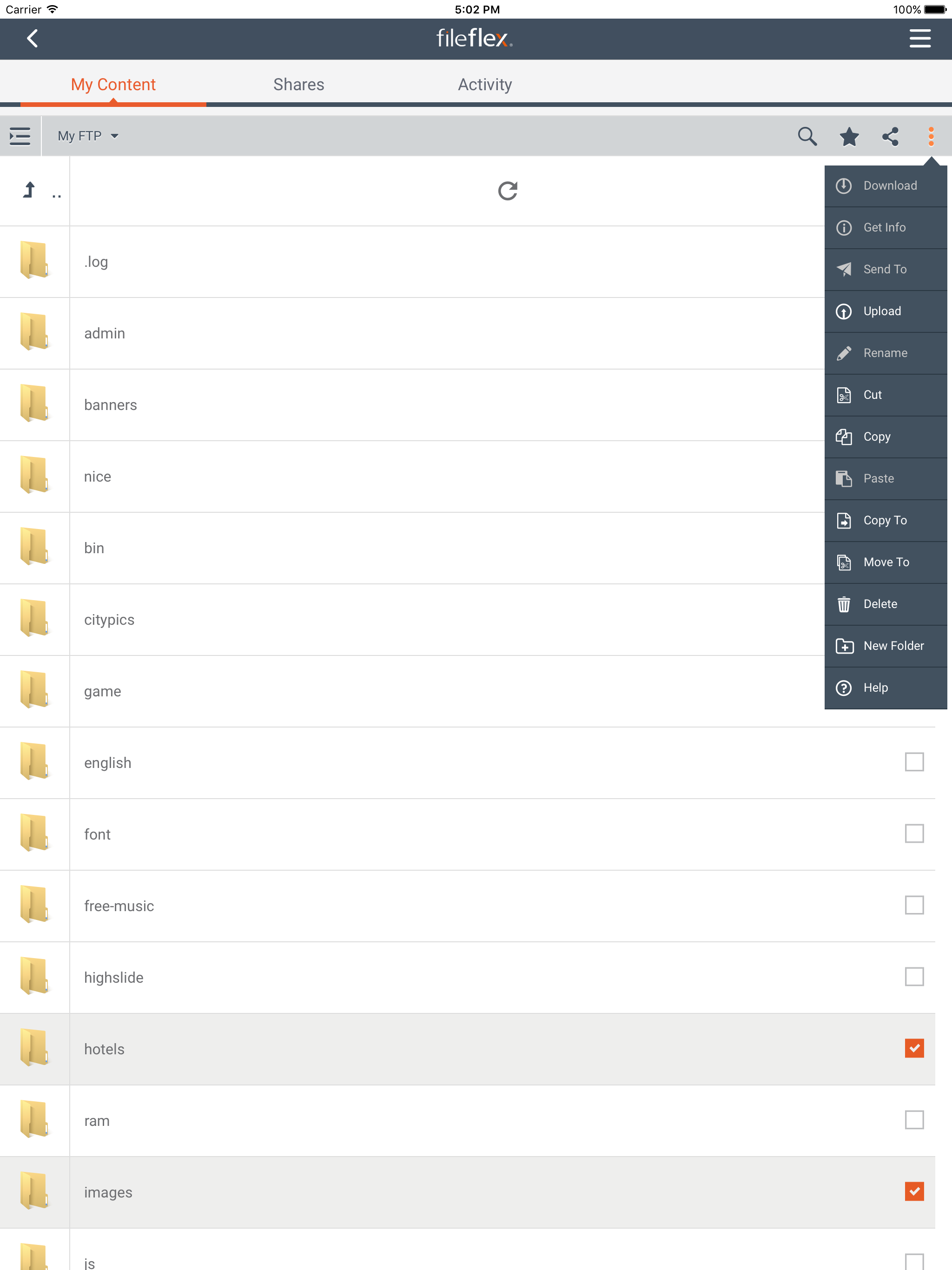 FileFlex screenshot 8
