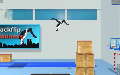 Backflip Madness screenshot 2