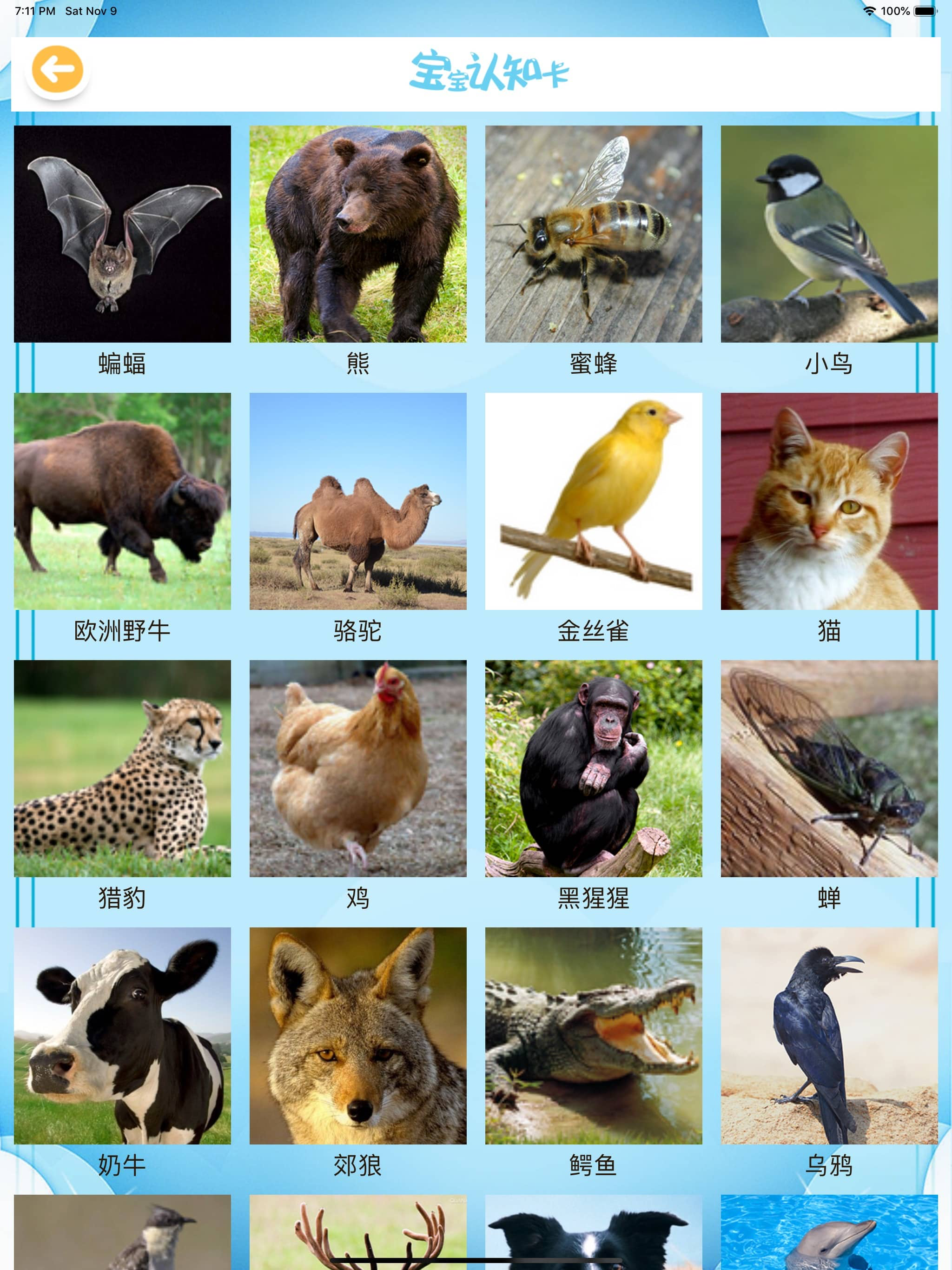 幼儿园儿歌 早教听儿歌讲儿童故事大全