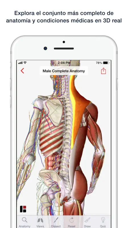 BioDigital Human - Anatomía 3D screenshot 1 of 5