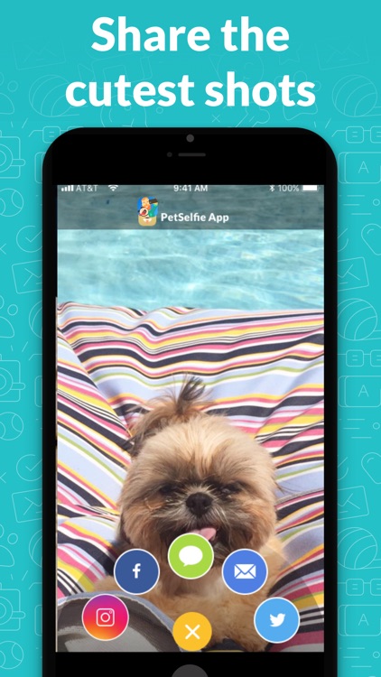 PetSelfie- DogCam and CatCam screenshot-3