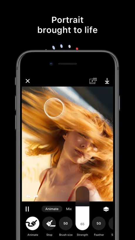 Disflow - Motion Image Editor