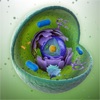 Learn Histology - iPadアプリ