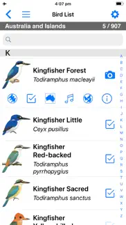 pizzey and knight birds of aus iphone screenshot 3