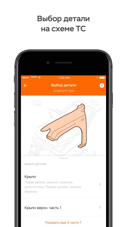Страховой осмотр screenshot-3