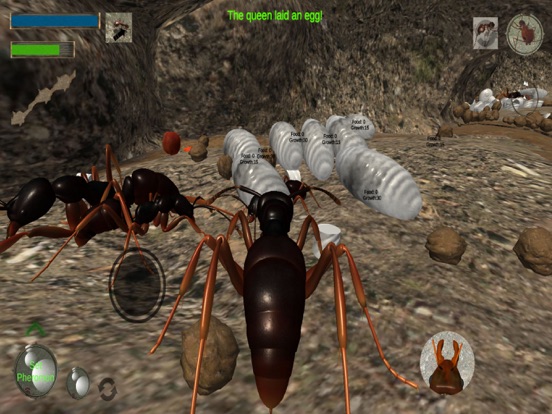 Screenshot #5 pour Ant Simulation 3D