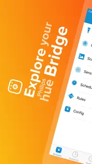 bridge inspector hue iphone screenshot 1