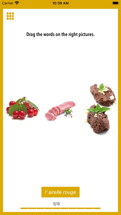 Picture Dictionary French screenshot-3