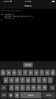 LibTerm iphone bilder 1
