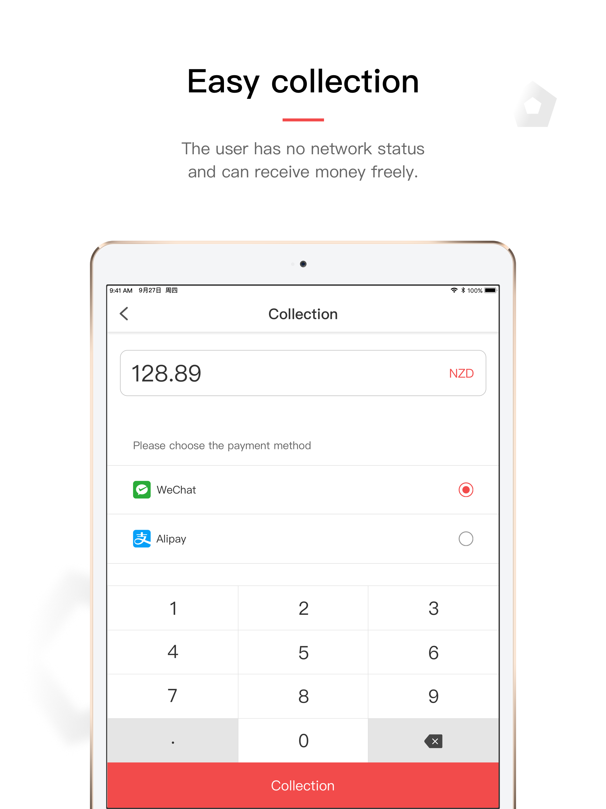 iPaynow screenshot 8