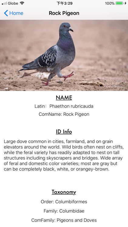 Bird_Encyclopedia