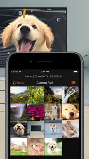 smartcast for lg tv iphone screenshot 3