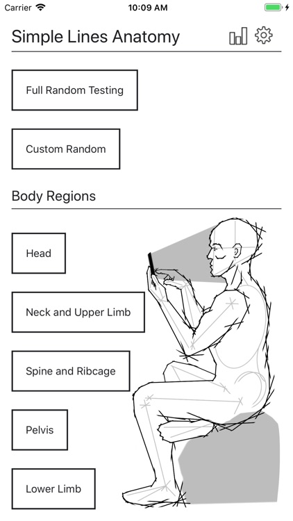 Simple Lines Anatomy