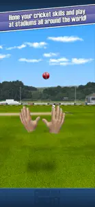 New Star Cricket screenshot #4 for iPhone