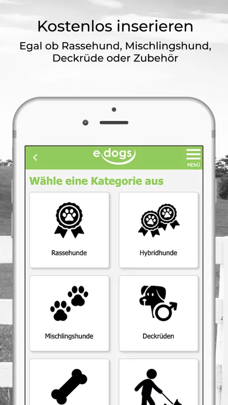 edogs
