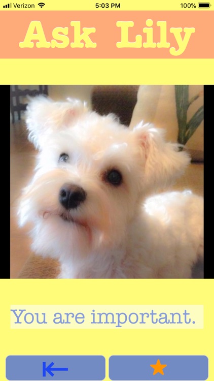 Ask Lily screenshot-6